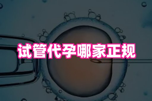 杭州助孕网 1