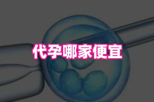 杭州助孕网 3
