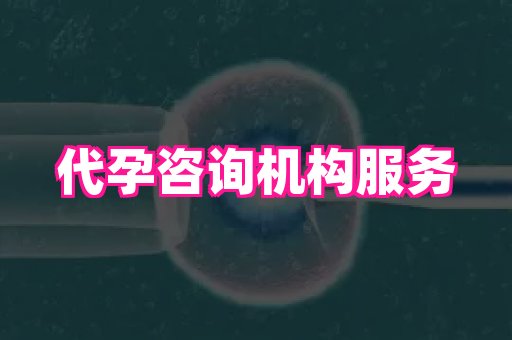 杭州助孕网 4
