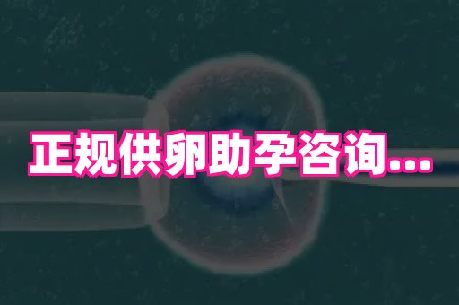 杭州助孕网 4